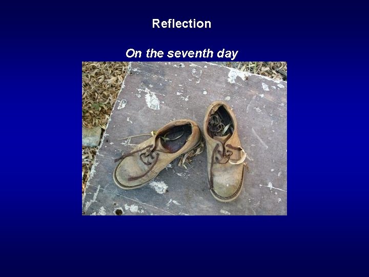 Reflection On the seventh day 