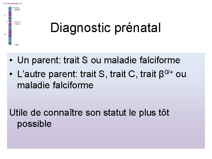 Diagnostic prénatal • Un parent: trait S ou maladie falciforme • L’autre parent: trait