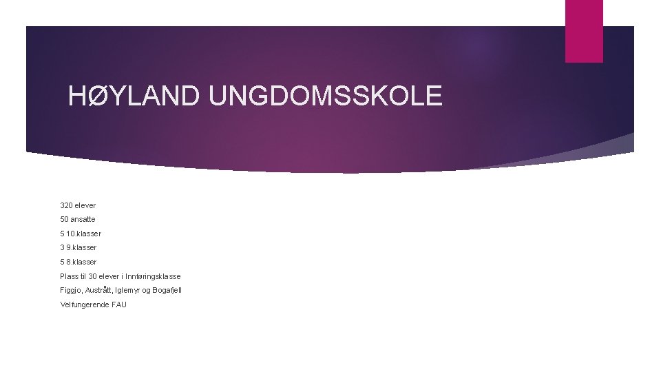 HØYLAND UNGDOMSSKOLE 320 elever 50 ansatte 5 10. klasser 3 9. klasser 5 8.