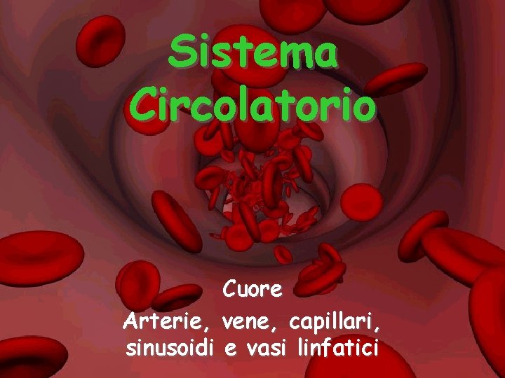 Sistema Circolatorio Cuore Arterie, vene, capillari, sinusoidi e vasi linfatici 