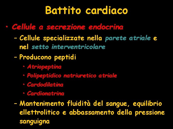 Battito cardiaco • Cellule a secrezione endocrina – Cellule specializzate nella parete atriale e