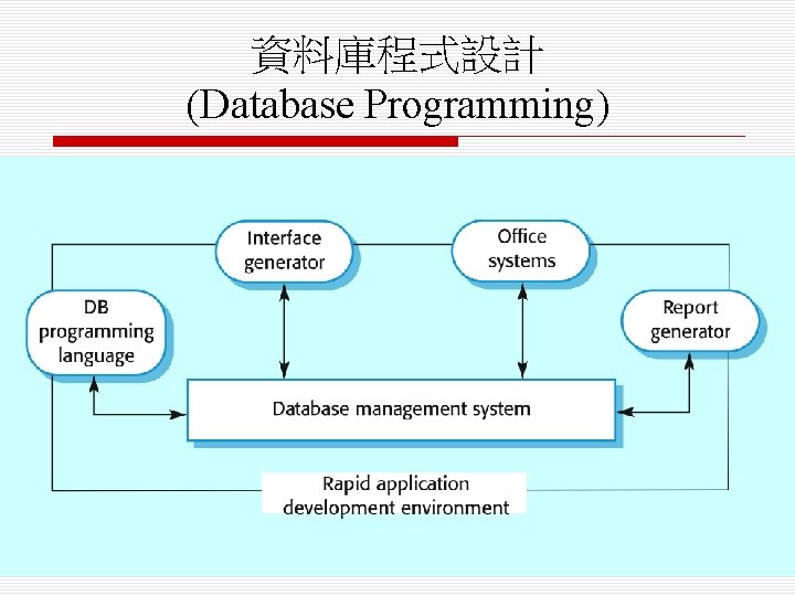 資料庫程式設計 (Database Programming) 