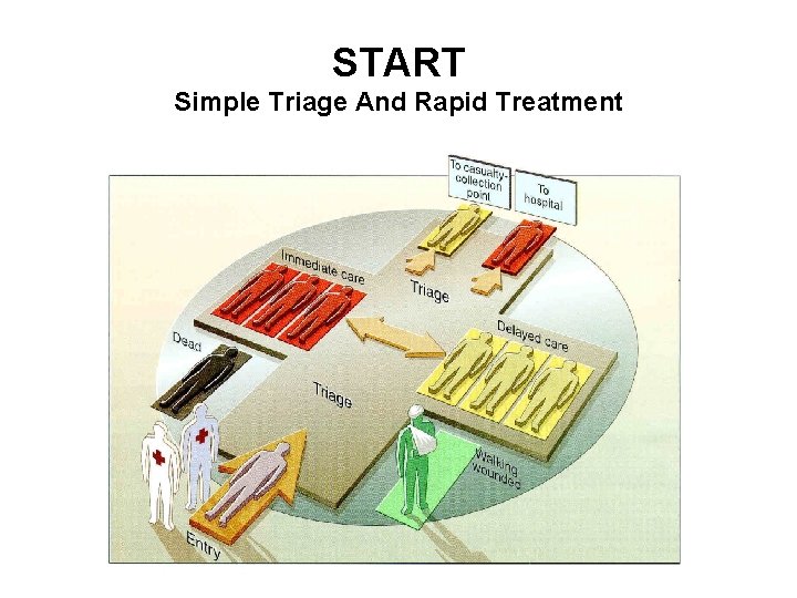 START Simple Triage And Rapid Treatment 