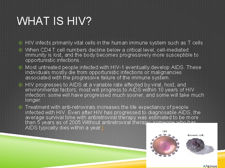 WHAT IS HIV? HIV infects primarily vital cells in the human immune system such