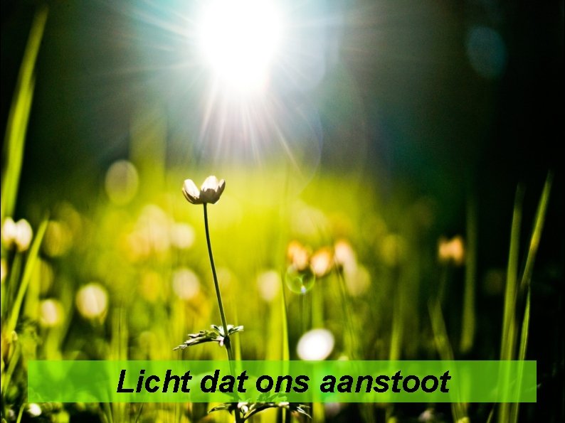 Licht dat ons aanstoot 