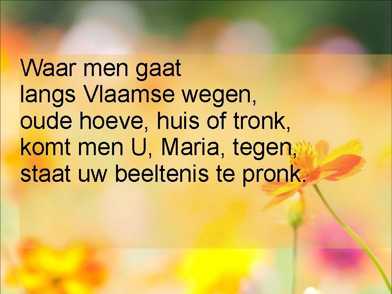 Waar men gaat langs Vlaamse wegen, oude hoeve, huis of tronk, komt men U,
