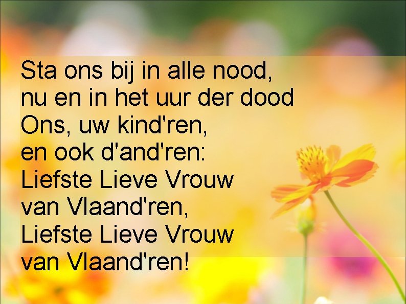 Sta ons bij in alle nood, nu en in het uur der dood Ons,