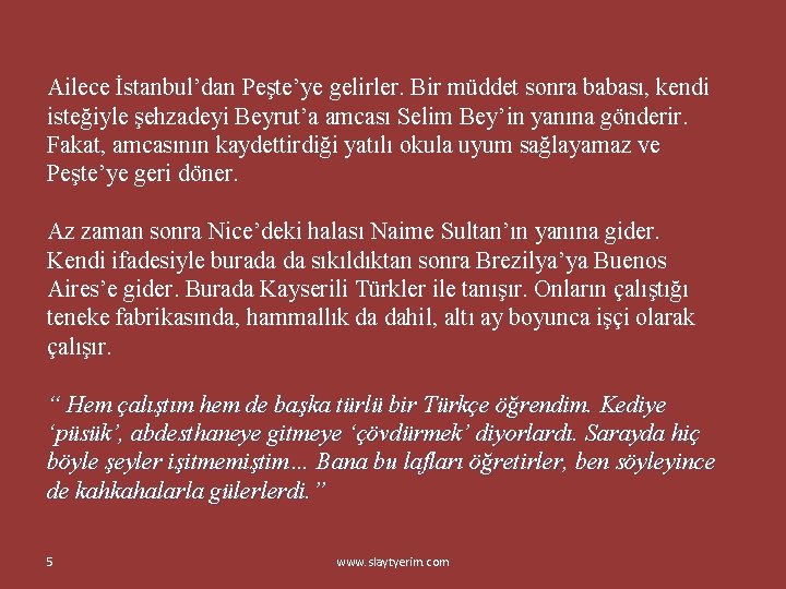 Ailece İstanbul’dan Peşte’ye gelirler. Bir müddet sonra babası, kendi isteğiyle şehzadeyi Beyrut’a amcası Selim Ailece İstanbul’dan Peşte’ye gelirler. Bir müddet sonra babası, kendi isteğiyle şehzadeyi Beyrut’a amcası Selim