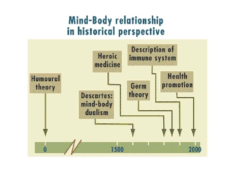 Stress Adjustment and Health Aspects of Personality Theories