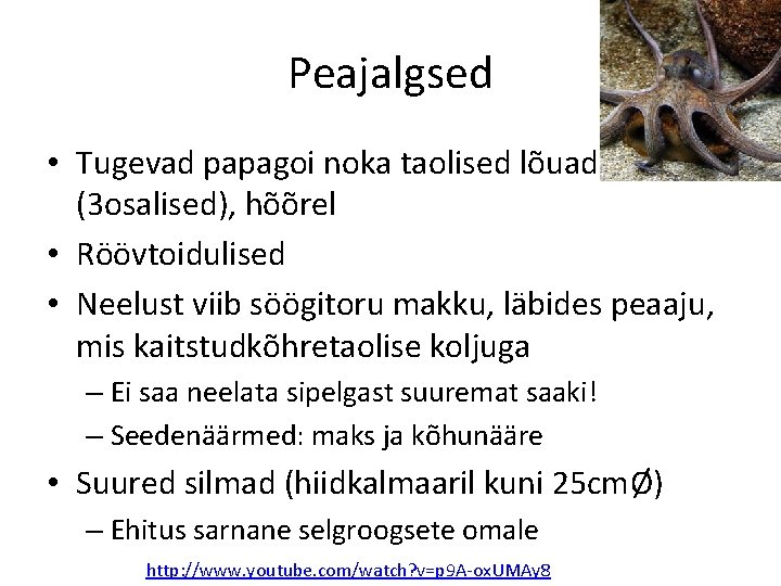 Peajalgsed • Tugevad papagoi noka taolised lõuad (3 osalised), hõõrel • Röövtoidulised • Neelust Peajalgsed • Tugevad papagoi noka taolised lõuad (3 osalised), hõõrel • Röövtoidulised • Neelust