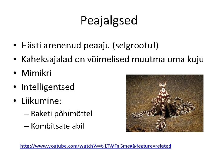 Peajalgsed • • • Hästi arenenud peaaju (selgrootu!) Kaheksajalad on võimelised muutma oma kuju Peajalgsed • • • Hästi arenenud peaaju (selgrootu!) Kaheksajalad on võimelised muutma oma kuju