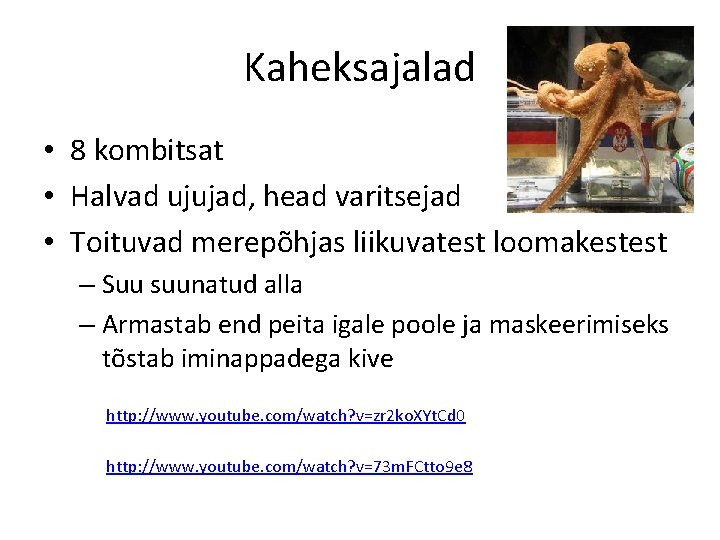 Kaheksajalad • 8 kombitsat • Halvad ujujad, head varitsejad • Toituvad merepõhjas liikuvatest loomakestest Kaheksajalad • 8 kombitsat • Halvad ujujad, head varitsejad • Toituvad merepõhjas liikuvatest loomakestest