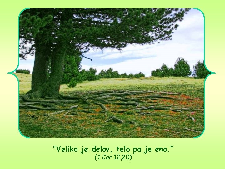 "Veliko je delov, telo pa je eno. “ (1 Cor 12, 20) 