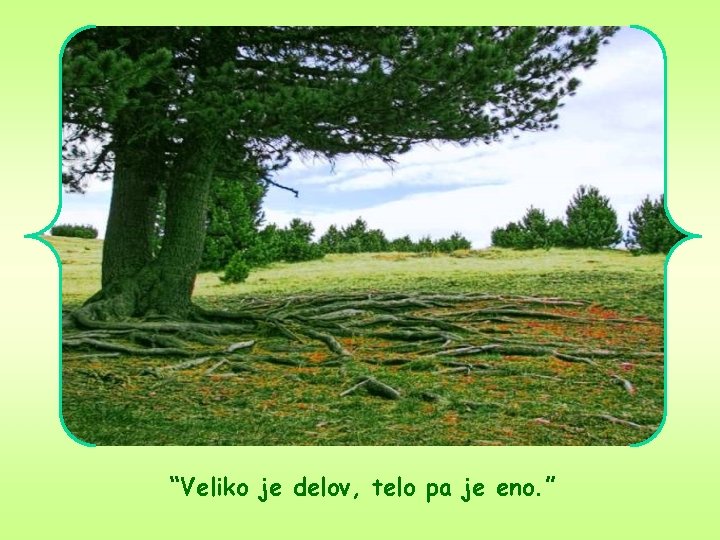 “Veliko je delov, telo pa je eno. ” 