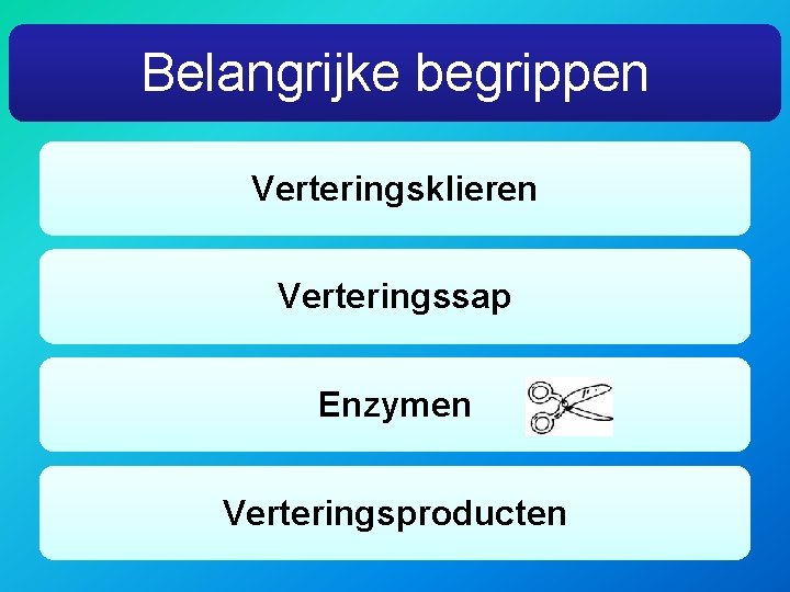 Belangrijke begrippen Verteringsklieren Verteringssap Enzymen Verteringsproducten 