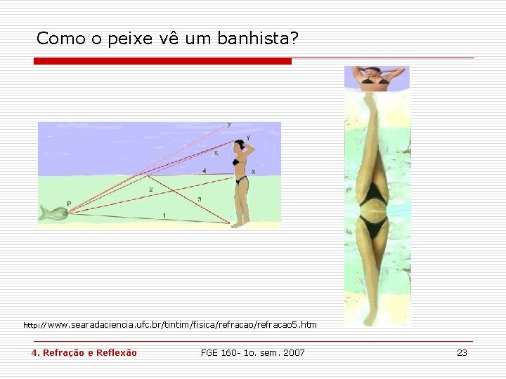 Como o peixe vê um banhista? http: //www. searadaciencia. ufc. br/tintim/fisica/refracao 5. htm 4. Como o peixe vê um banhista? http: //www. searadaciencia. ufc. br/tintim/fisica/refracao 5. htm 4.