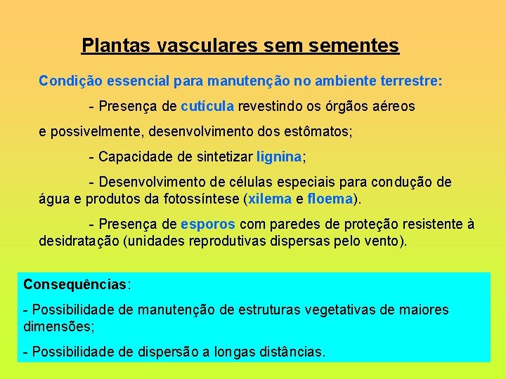Plantas vasculares sementes Condição essencial para manutenção no ambiente terrestre: - Presença de cutícula
