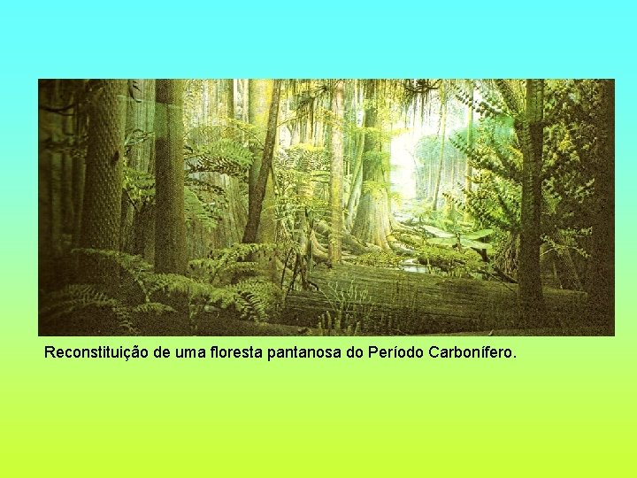 Reconstituição de uma floresta pantanosa do Período Carbonífero. 