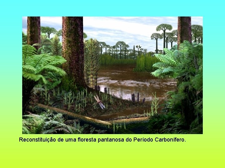 Reconstituição de uma floresta pantanosa do Período Carbonífero. 