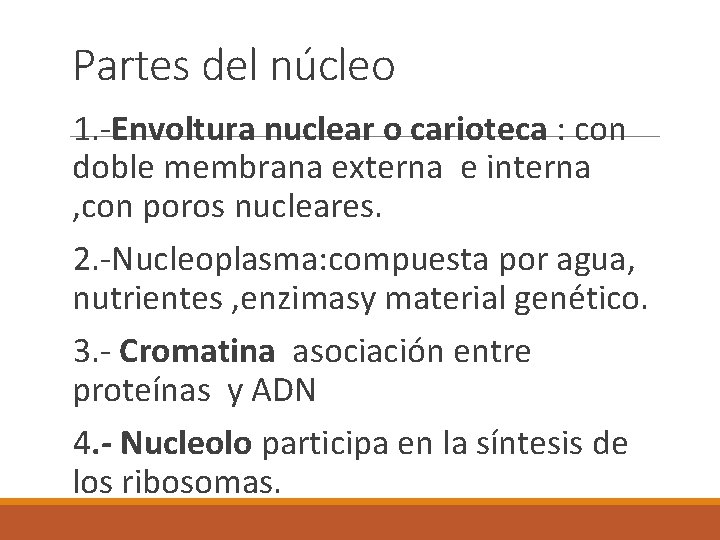 Partes del núcleo 1. -Envoltura nuclear o carioteca : con doble membrana externa e