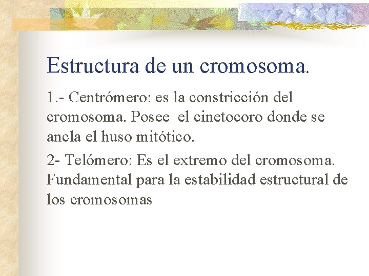 Estructura de un cromosoma. 1. - Centrómero: es la constricción del cromosoma. Posee el