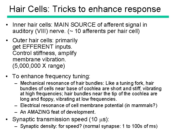 Hair Cells: Tricks to enhance response • Inner hair cells: MAIN SOURCE of afferent