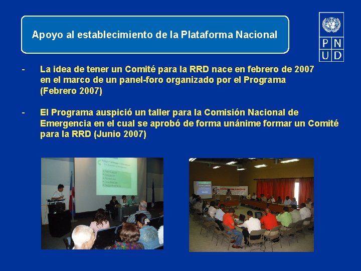 Apoyo al establecimiento de la Plataforma Nacional - La idea de tener un Comité