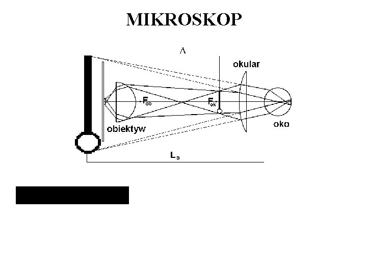 MIKROSKOP 