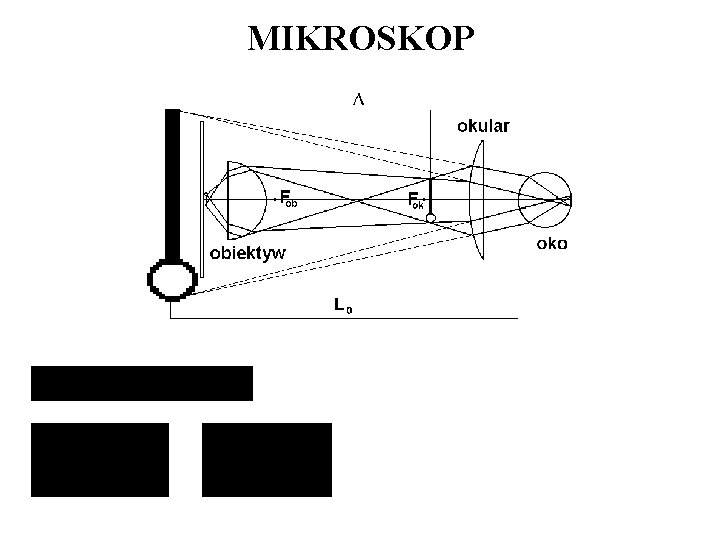 MIKROSKOP 