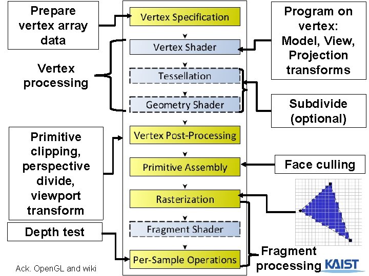 Prepare vertex array data Vertex processing Program on vertex: Model, View, Projection transforms Subdivide