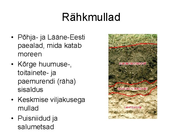 Rähkmullad • Põhja- ja Lääne-Eesti paealad, mida katab moreen • Kõrge huumuse-, toitainete- ja