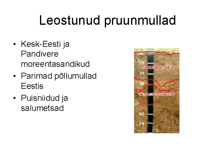 Leostunud pruunmullad • Kesk-Eesti ja Pandivere moreentasandikud • Parimad põllumullad Eestis • Puisniidud ja