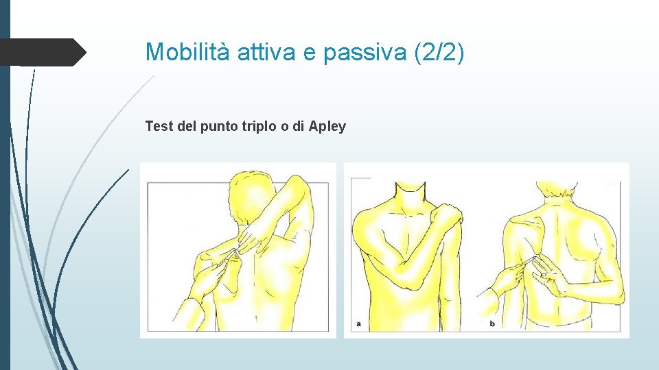 Mobilità attiva e passiva (2/2) Test del punto triplo o di Apley 