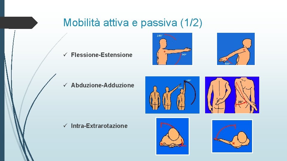Mobilità attiva e passiva (1/2) ü Flessione-Estensione ü Abduzione-Adduzione ü Intra-Extrarotazione 