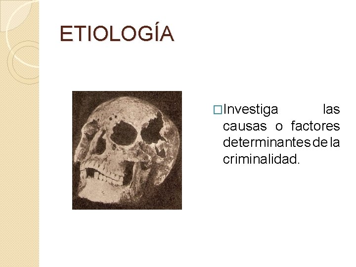 ETIOLOGÍA �Investiga las causas o factores determinantes de la criminalidad. 