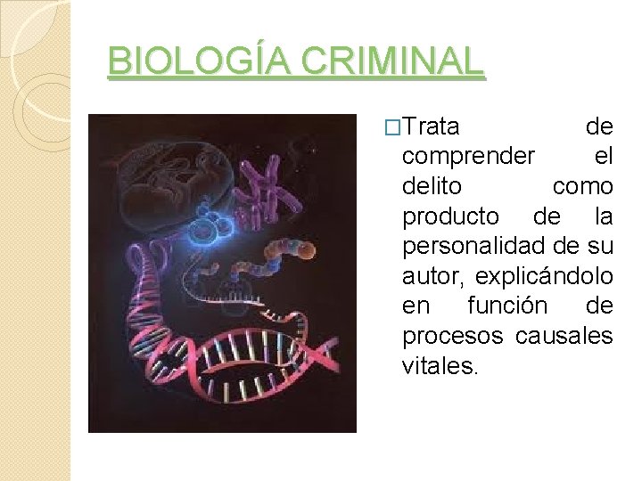 BIOLOGÍA CRIMINAL �Trata de comprender el delito como producto de la personalidad de su