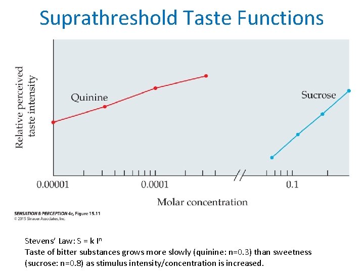 Suprathreshold Taste Functions Stevens’ Law: S = k In Taste of bitter substances grows