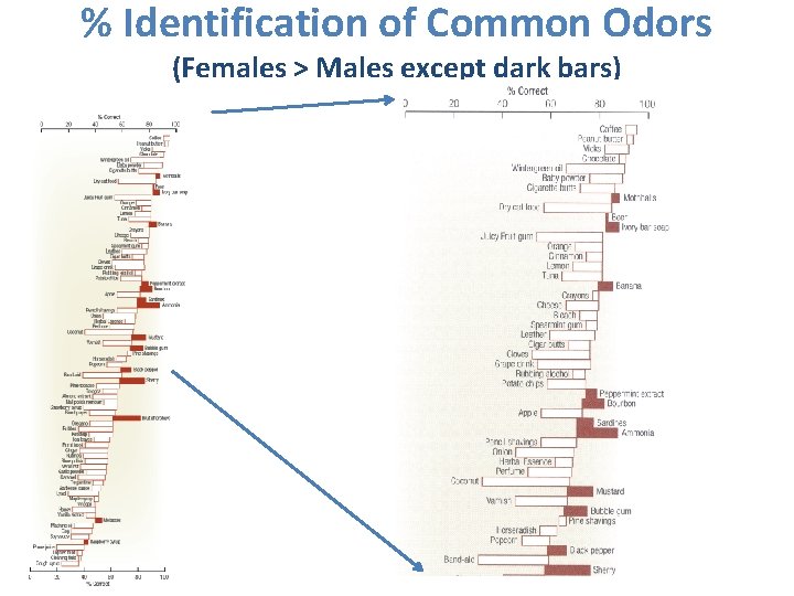 % Identification of Common Odors (Females > Males except dark bars) 