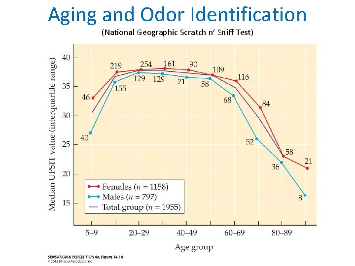 Aging and Odor Identification (National Geographic Scratch n’ Sniff Test) 