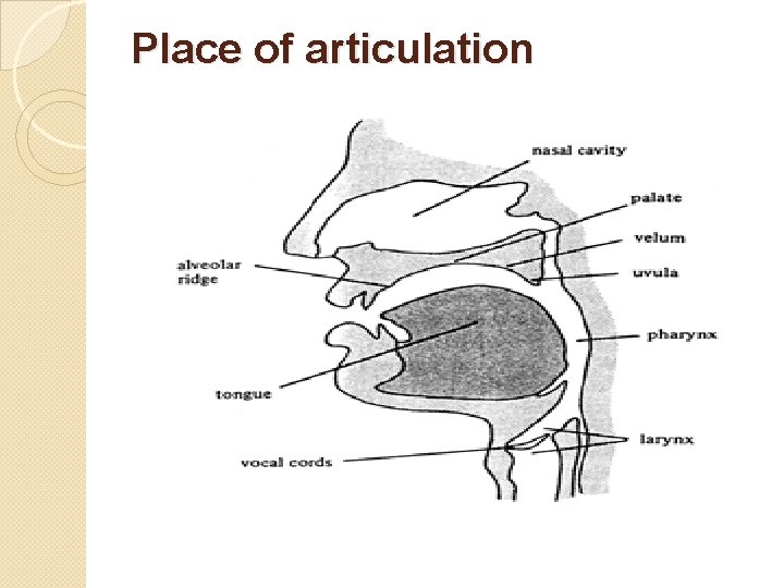 Place of articulation 