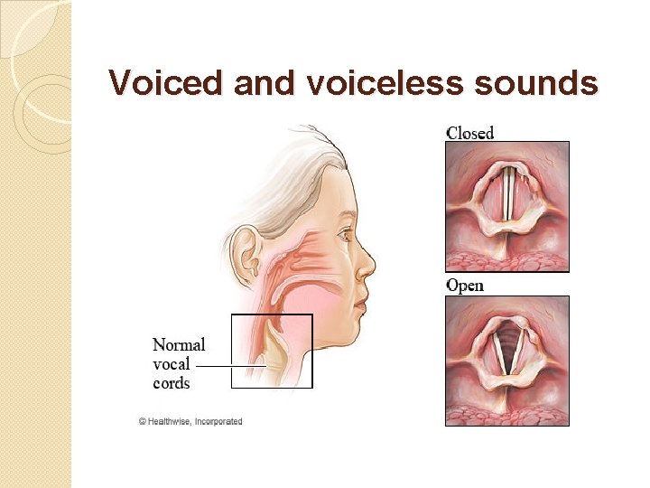  Voiced and voiceless sounds 