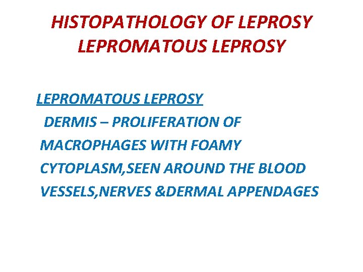 HISTOPATHOLOGY OF LEPROSY LEPROMATOUS LEPROSY DERMIS – PROLIFERATION OF MACROPHAGES WITH FOAMY CYTOPLASM, SEEN