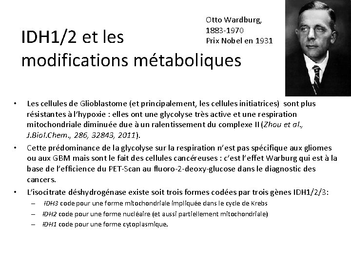 Otto Wardburg, 1883 -1970 Prix Nobel en 1931 IDH 1/2 et les modifications métaboliques