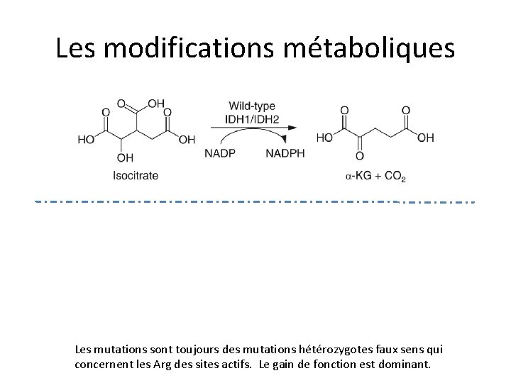 Les modifications métaboliques D-2 -hydroxyglutarate Les mutations sont toujours des mutations hétérozygotes faux sens