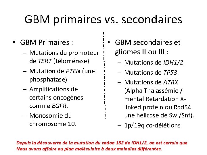 GBM primaires vs. secondaires • GBM Primaires : • GBM secondaires et gliomes II