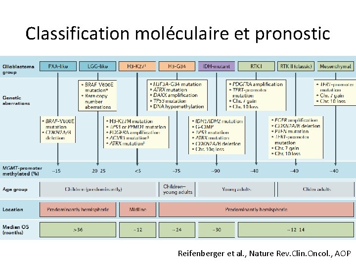 Classification moléculaire et pronostic Reifenberger et al. , Nature Rev. Clin. Oncol. , AOP
