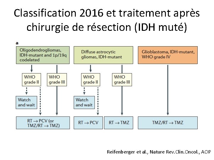 Classification 2016 et traitement après chirurgie de résection (IDH muté) Reifenberger et al. ,