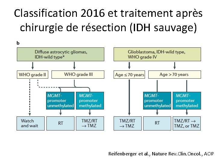 Classification 2016 et traitement après chirurgie de résection (IDH sauvage) Reifenberger et al. ,