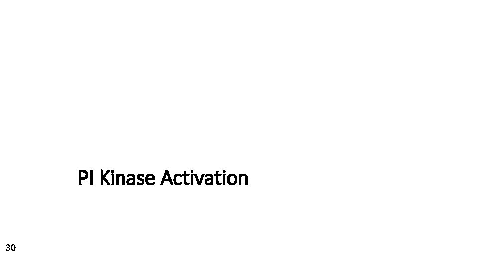 PI Kinase Activation 30 