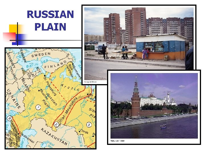 RUSSIAN PLAIN 